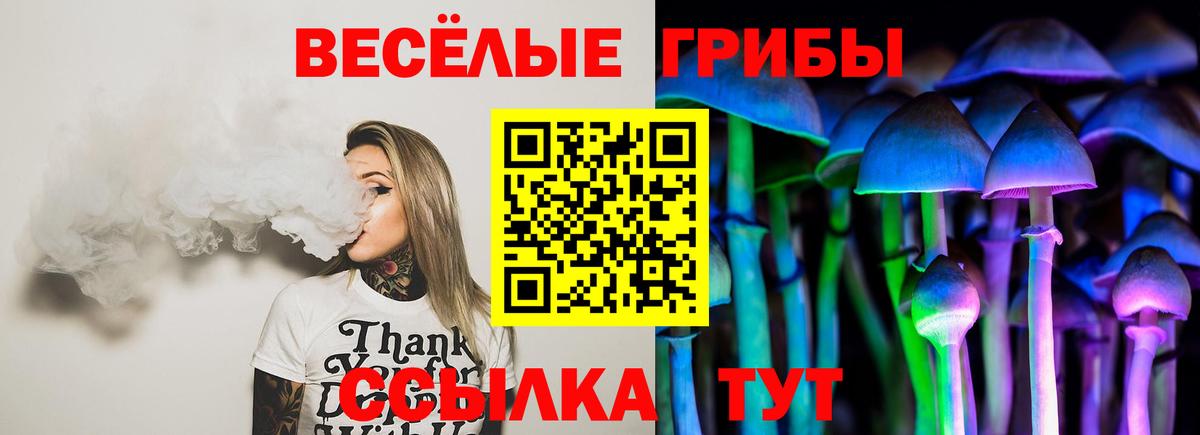 Галлюциногенные грибы мицелий Чехов
